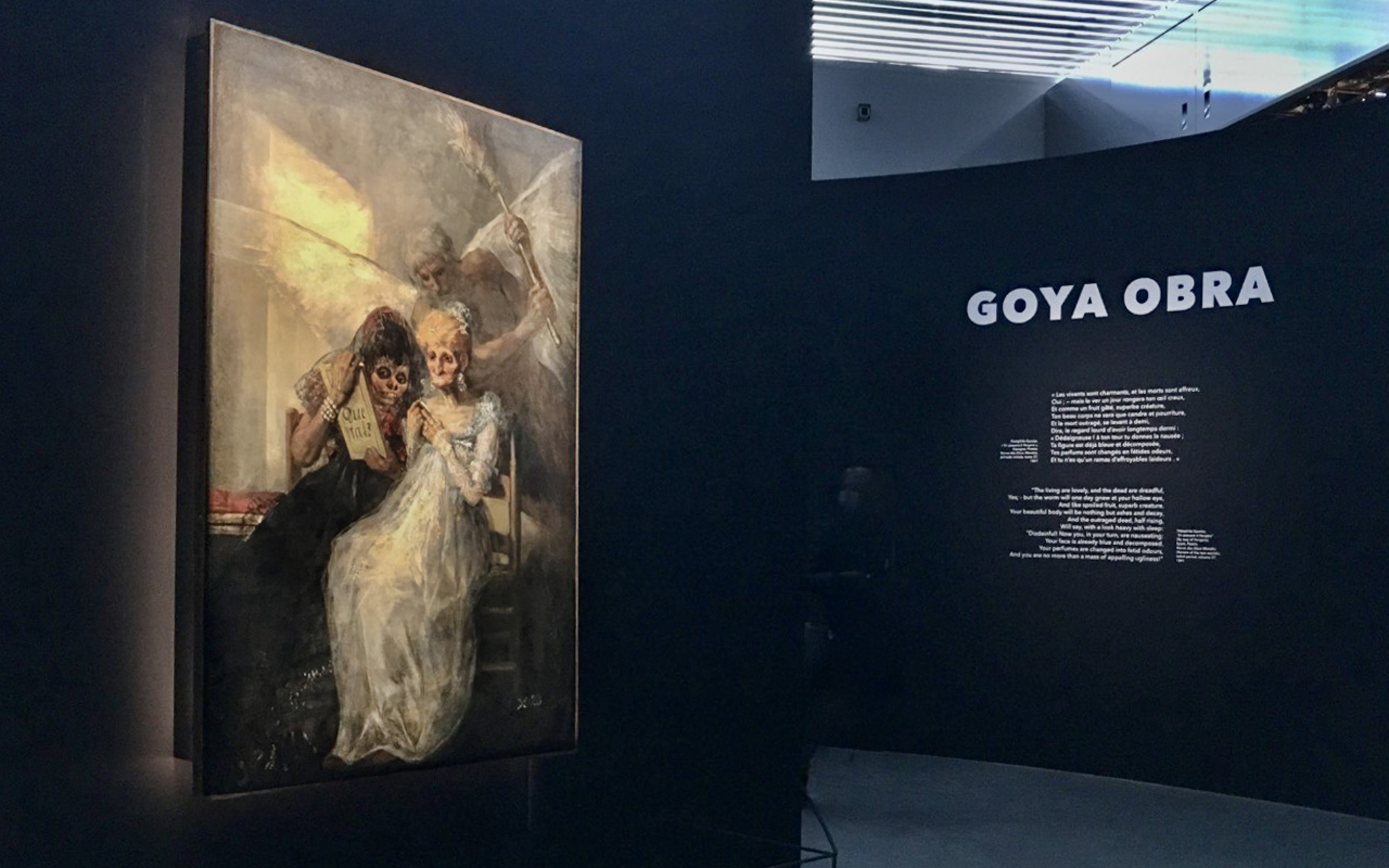 EXPERIENCE GOYA