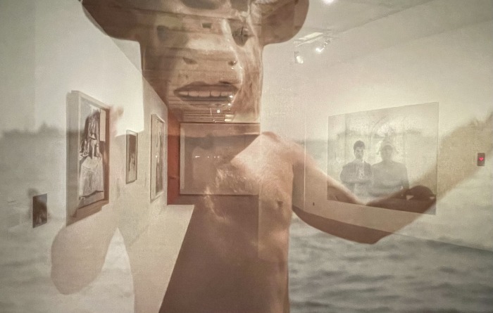 Picasso, l'effervescence des formes