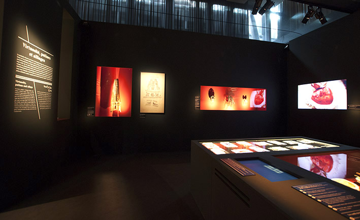 SPLENDEURS DE VOLUBILIS